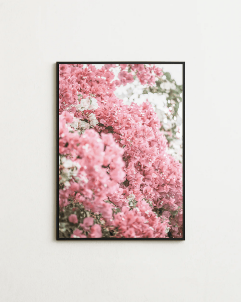 Pink Bloom - FrenzyFrame