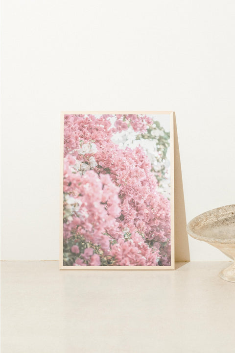 Pink Bloom - FrenzyFrame