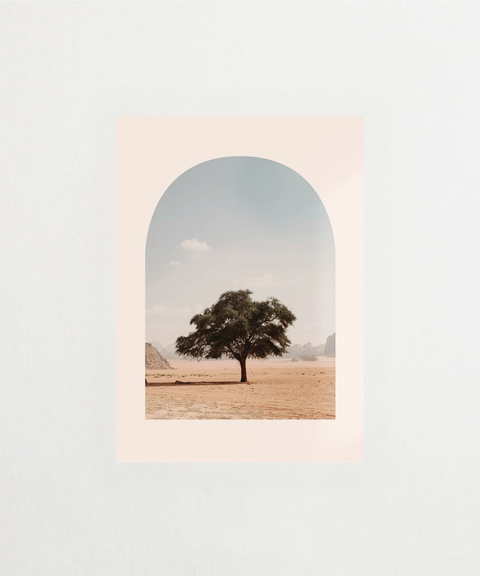 Desert Soul poster med ökenlandskap – FrenzyFrame