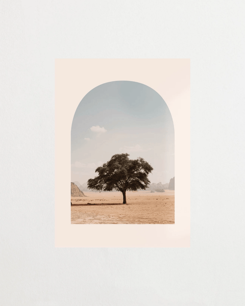 Desert Soul - FrenzyFrame