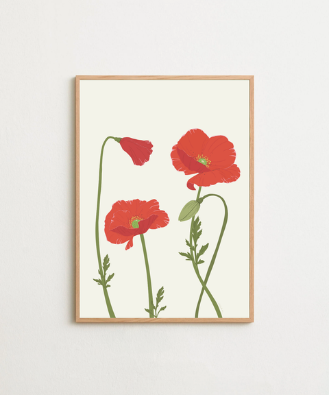 POPPY
