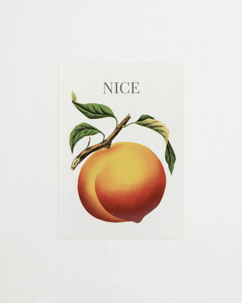 NICE - FrenzyFrame