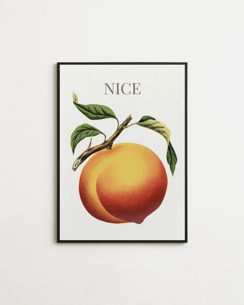NICE - FrenzyFrame
