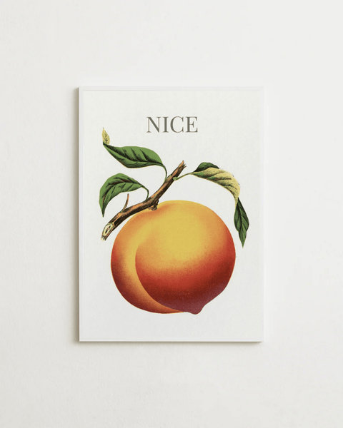 NICE - FrenzyFrame