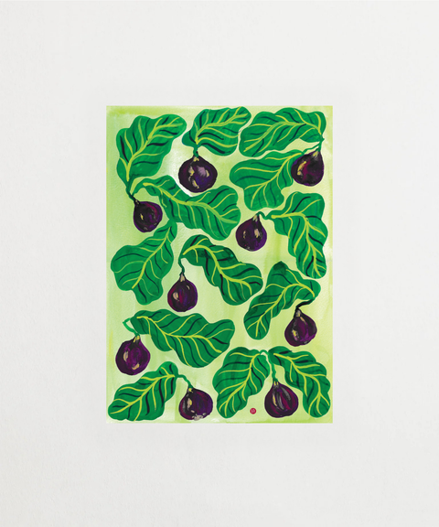 Figs poster med fruktmotiv – FrenzyFrame