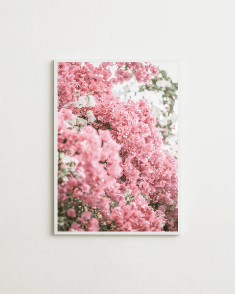 Pink Bloom - FrenzyFrame